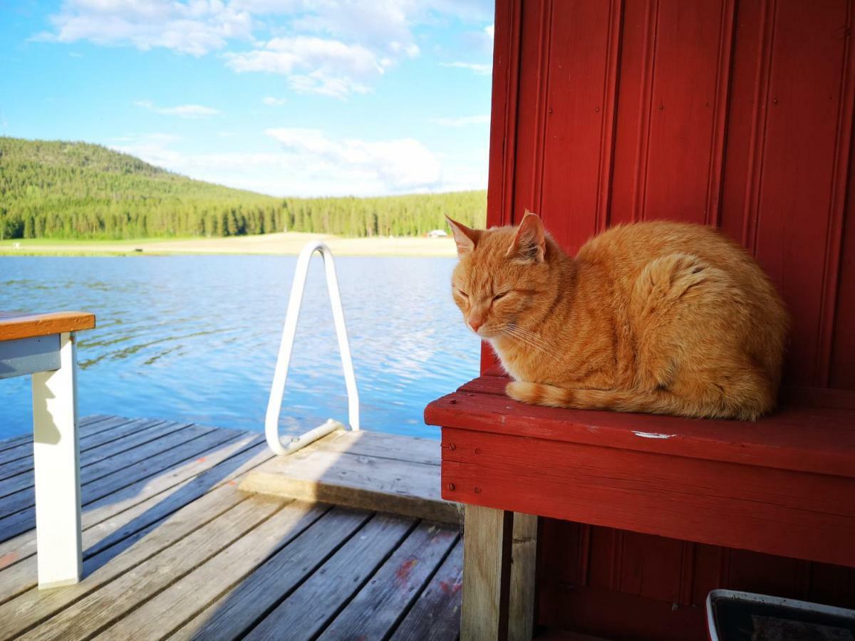 Villa Skatauddens Lantgard Älvsbyn Exterior foto